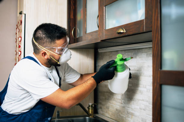 Best Wasp Removal Services  in Fort Wright, KY