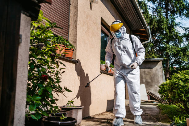 Best Affordable Pest Control Services  in Fort Wright, KY