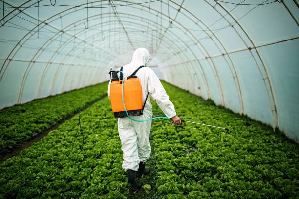 Best Mosquito Control Services  in Fort Wright, KY
