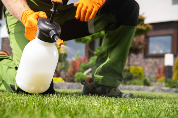 Professional Pest Control in Fort Wright, KY