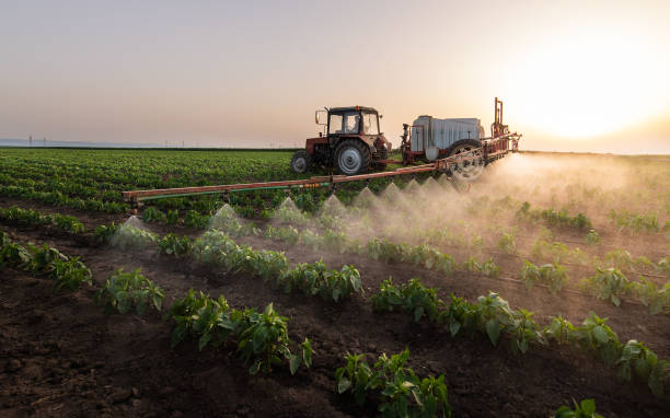 Best Pest Removal Services  in Fort Wright, KY