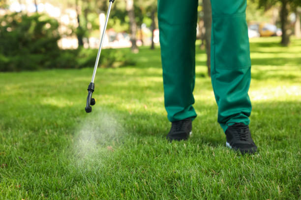 Best Pest Prevention Services  in Fort Wright, KY