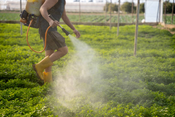 Best Affordable Pest Control Services  in Fort Wright, KY