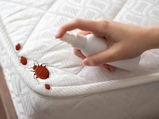 Best Emergency Pest Control  in Fort Wright, KY