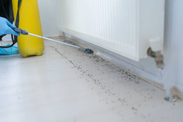 Best Commercial Pest Control Services  in Fort Wright, KY